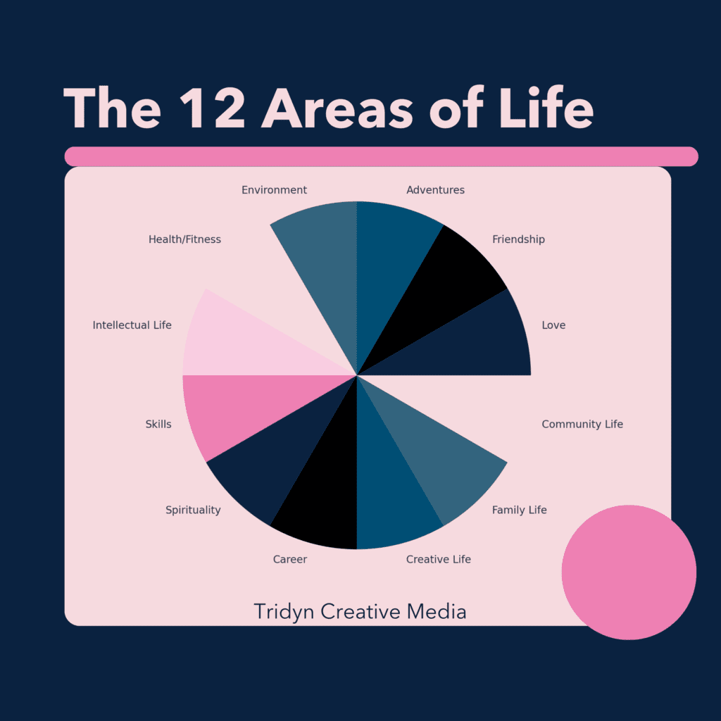 Infographic of the 12 Areas of Life including Health, Friendship, and Career, by Tridyn Creative Media.